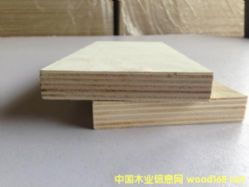 的詳細(xì)介紹