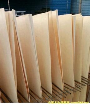 的詳細(xì)介紹