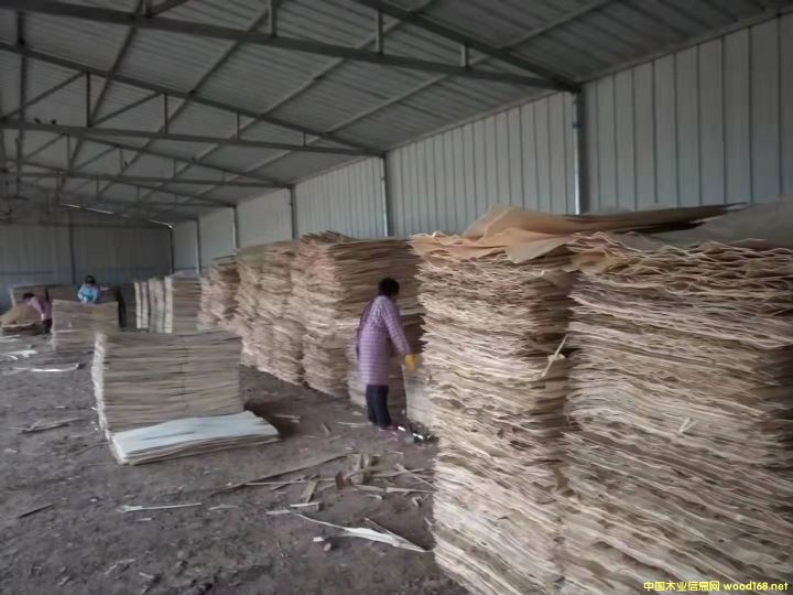 的詳細(xì)介紹