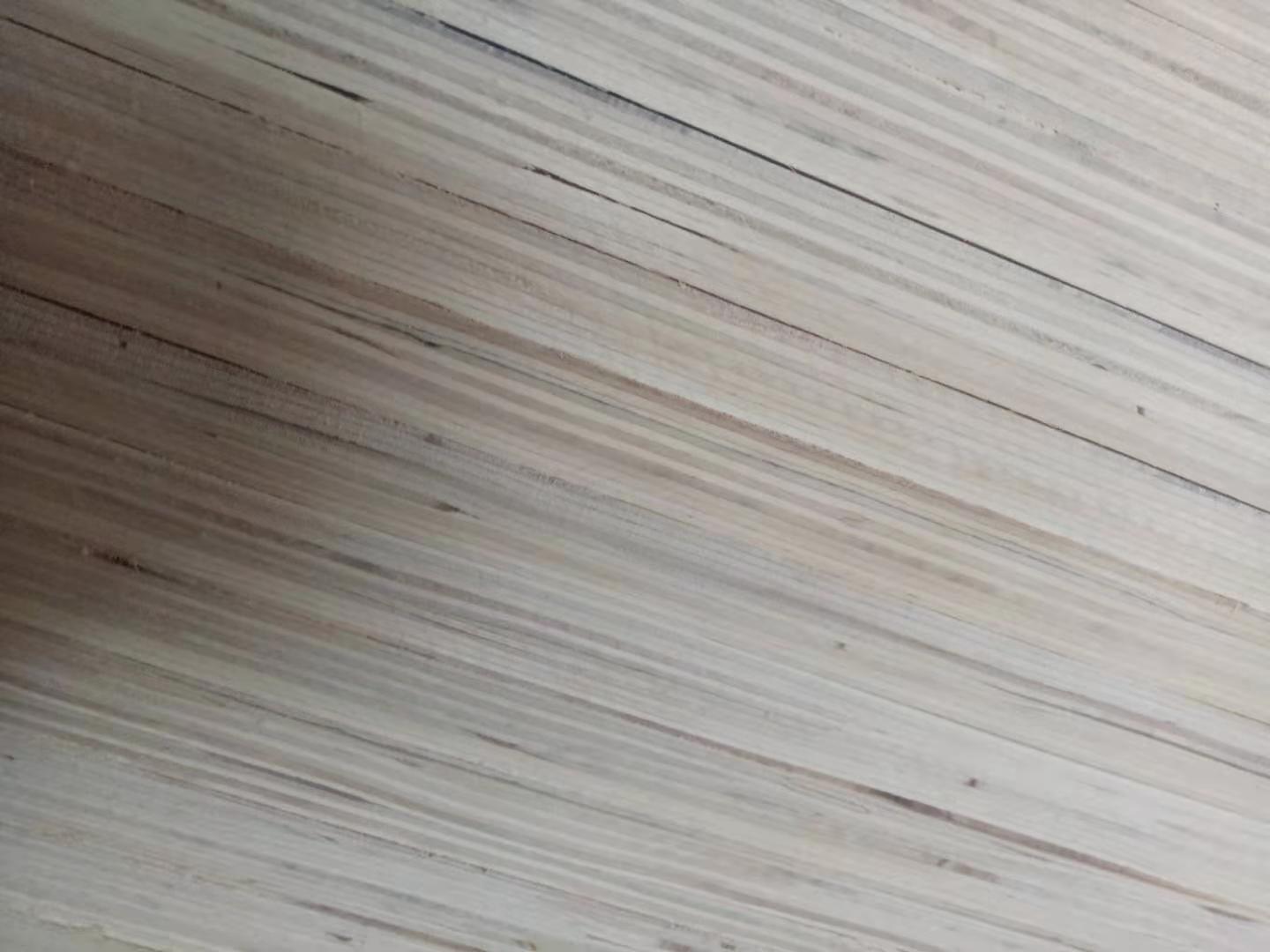 的詳細(xì)介紹