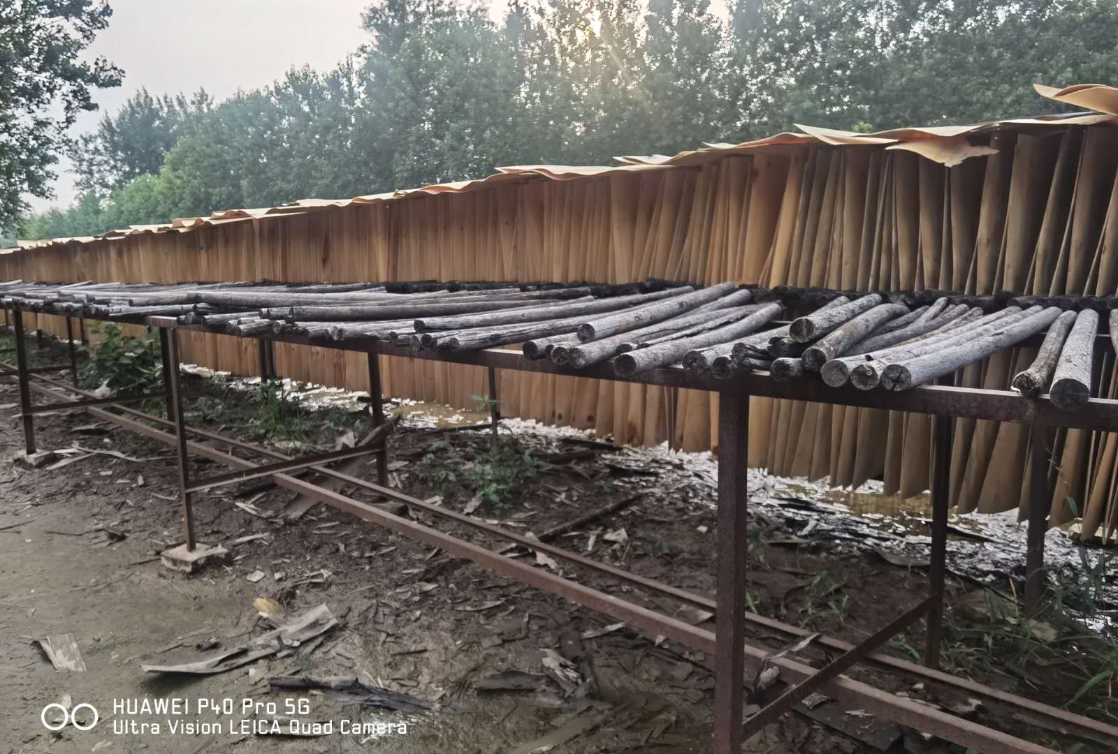 的詳細(xì)介紹