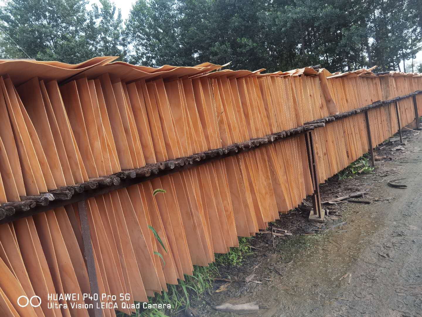 的詳細(xì)介紹