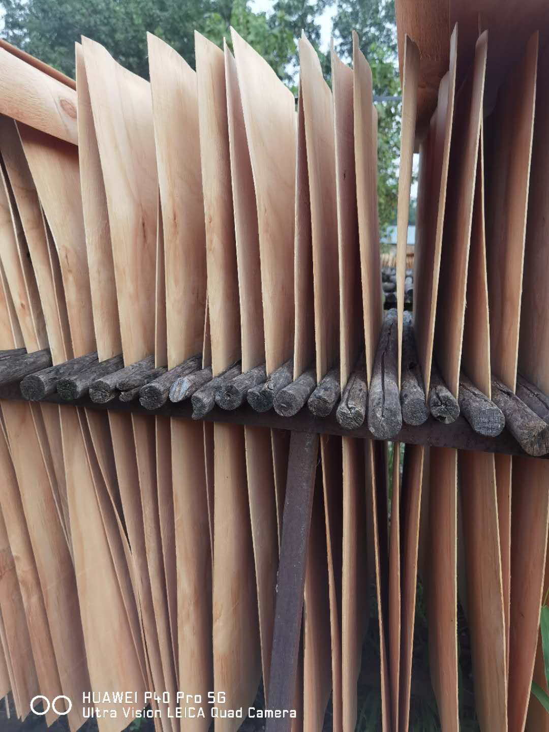 的詳細(xì)介紹