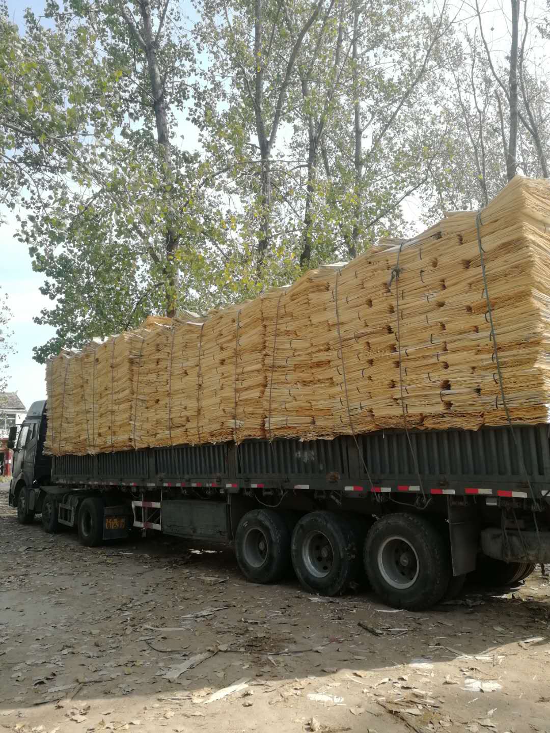 的詳細(xì)介紹