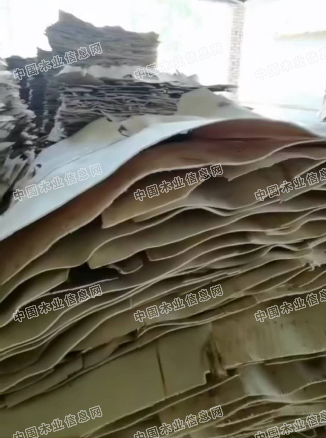 的詳細(xì)介紹