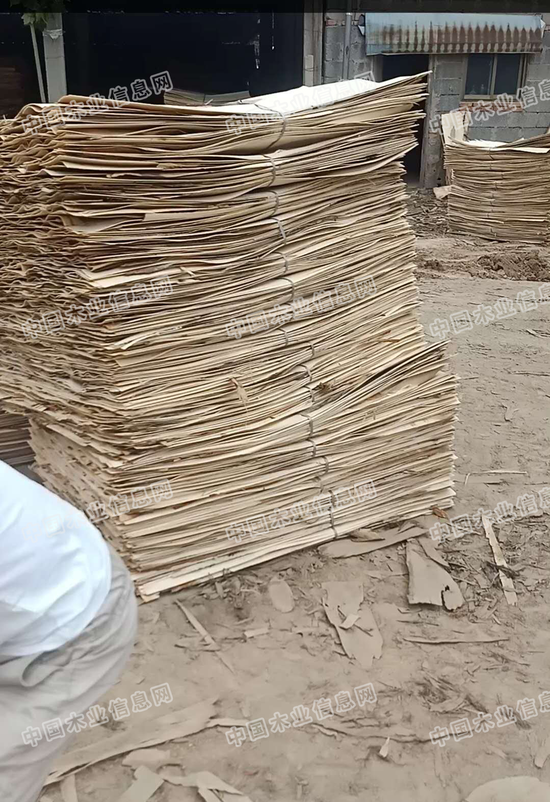 的詳細(xì)介紹