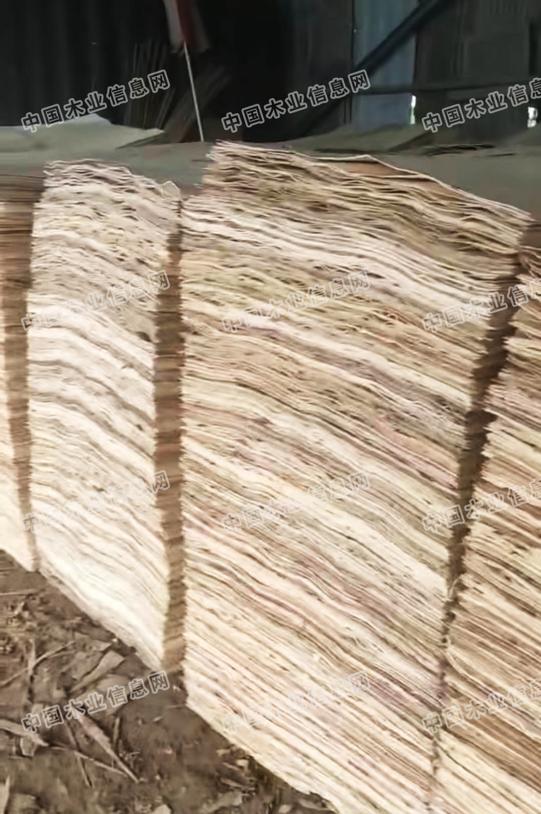 的詳細(xì)介紹