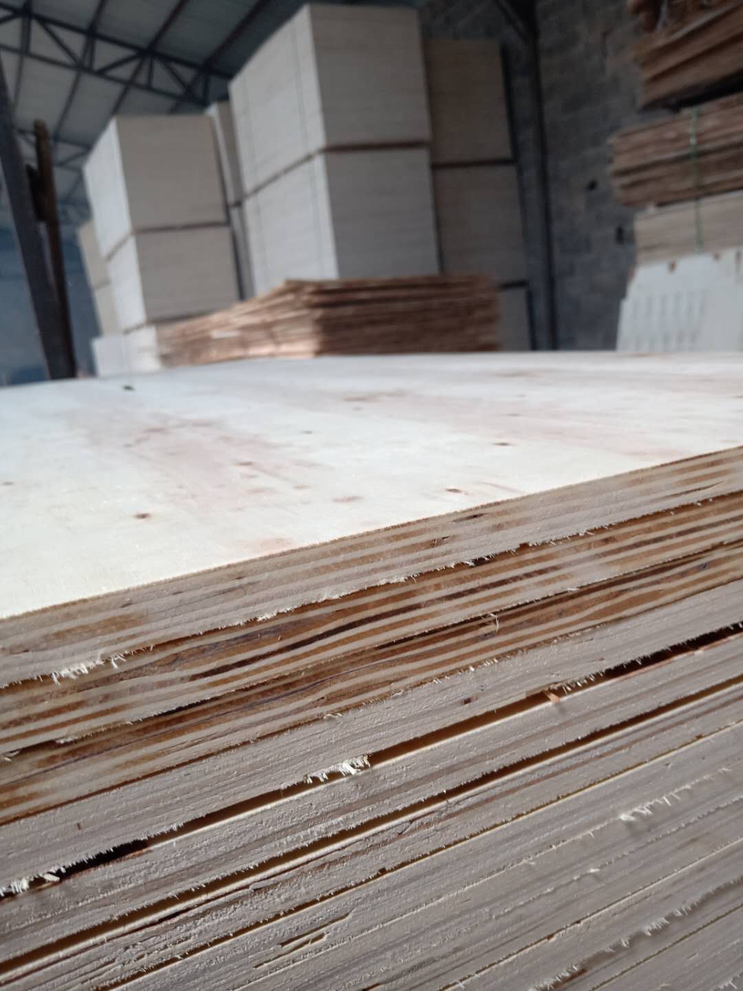 的詳細(xì)介紹