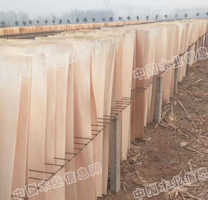 的詳細(xì)介紹