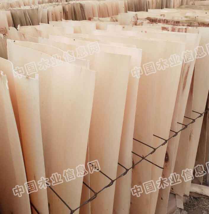 的詳細(xì)介紹