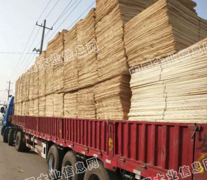 的詳細(xì)介紹