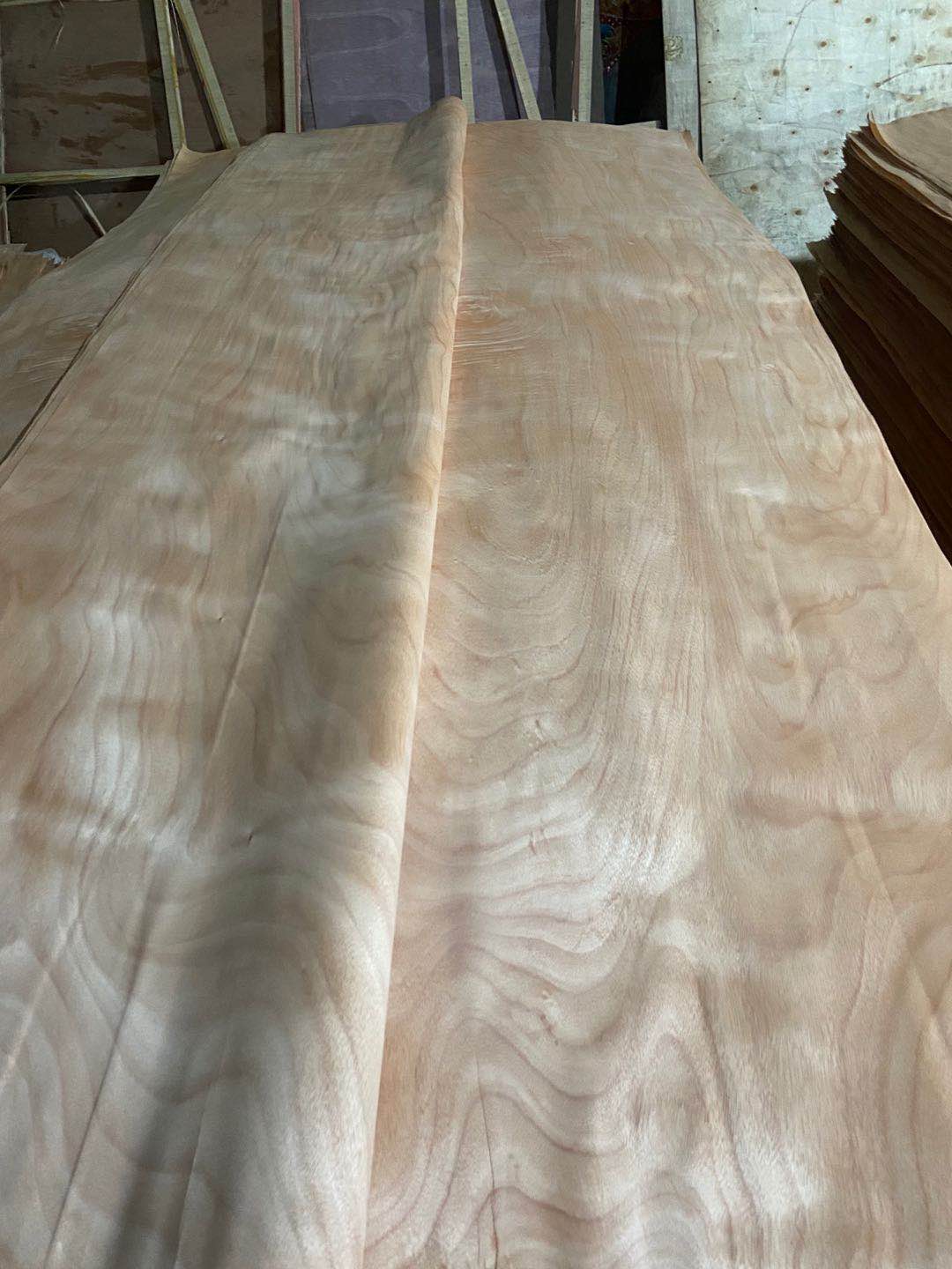 的詳細(xì)介紹