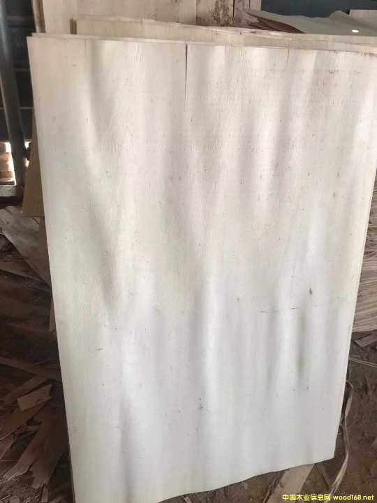 的詳細(xì)介紹