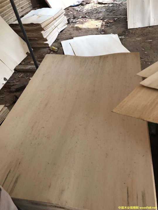 的詳細(xì)介紹