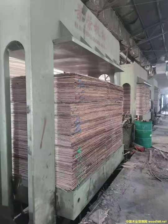 的詳細(xì)介紹