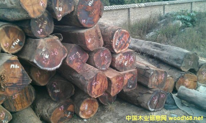 ϓկԽ^m(x)P(gun)t֦ԭĴM