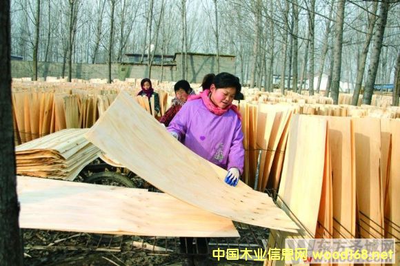 ɽhС·(zhn)ľI(y)YԴ(yu)(sh)l(f)չƤӹI(y)