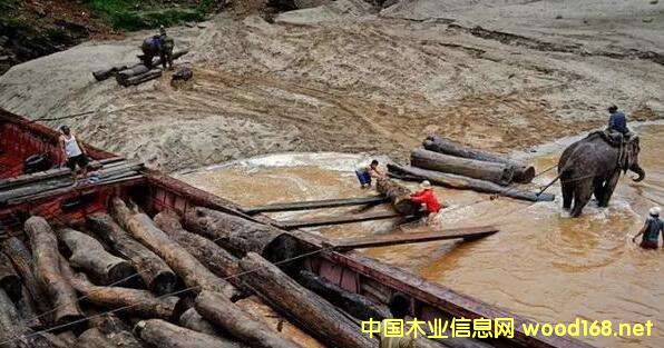 ľĳڇ(yn)صĮ(dng)ϓǷ(hu)ɞ