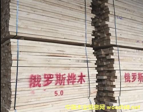 |ݸL(zhng)ľI(y)ڶ_˹O(sh)2(g)ľļӹS ӹ^10f(wn)