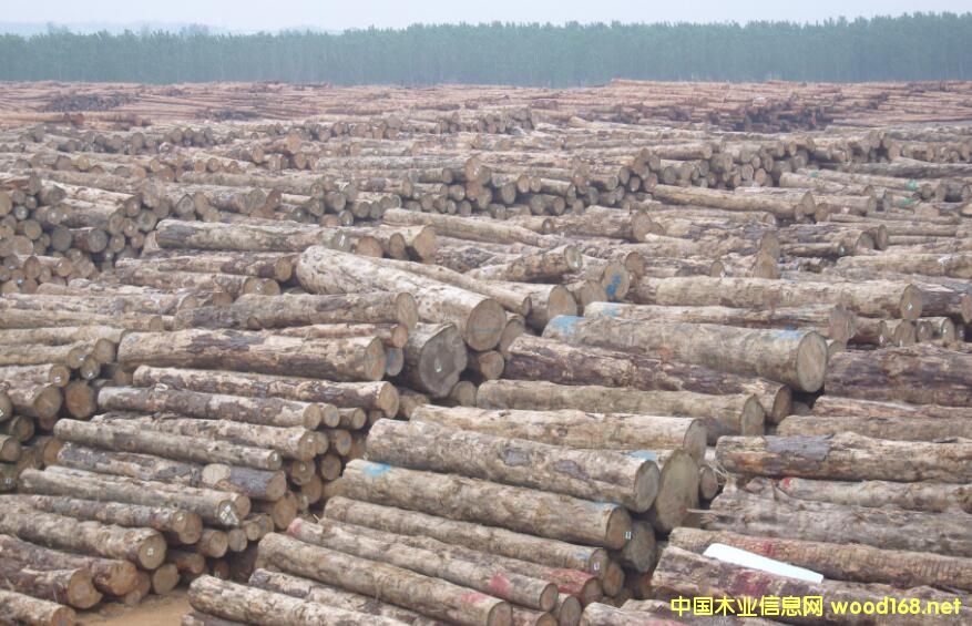 ľYԴ(gu)Hl(f)µȫľĺľĮa(chn)ƷЈ(chng)(bo)