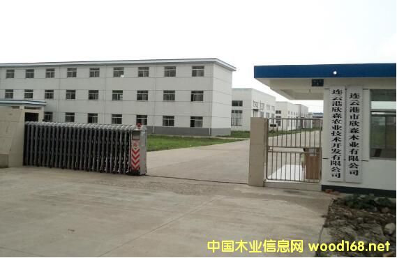 BƸɭľI(y)̓(bo)(gu)Y3000f(wn) ˺͸ppz