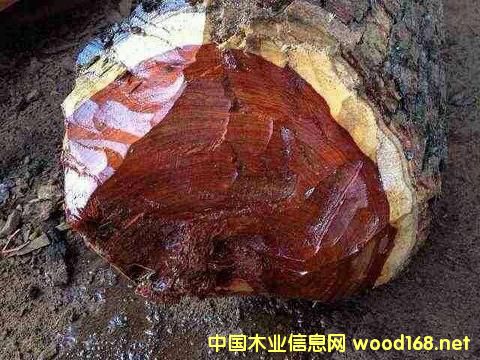 Ѫ̴ı؟(z)ǷЇľQ(mo)̪ԳГ(dn)