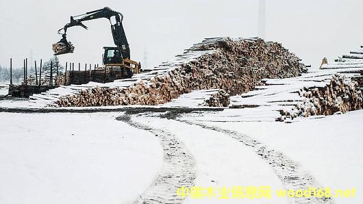 ߅푵һӋ(j)ôM(jn)ľ20%P(gun)