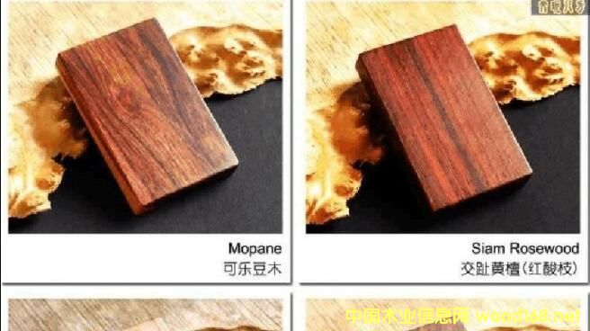 ڰMԭľF(xin)l(f)L Fԭľ