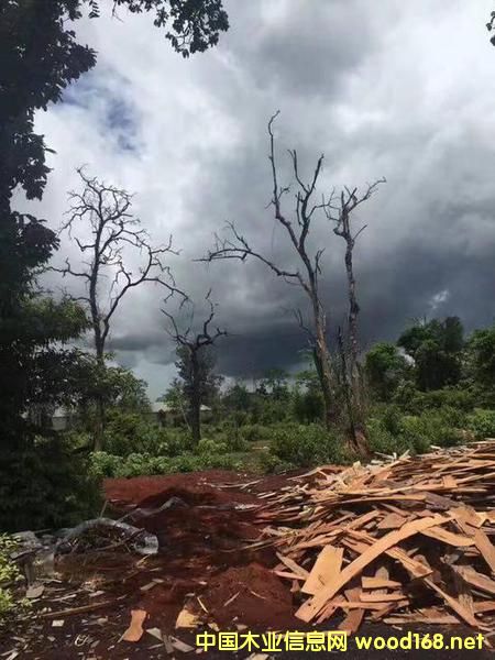 Ftľ@ﮔ(dng) һDװf3