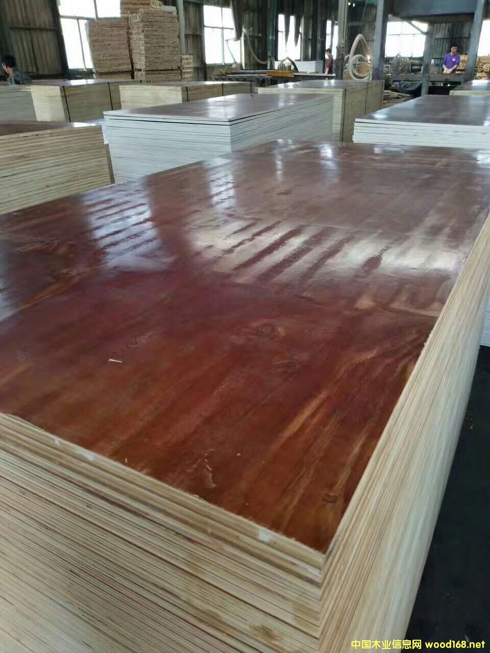 ߙnģS]K(yng)hɭԴľI(y)