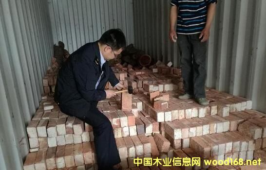 ɳڰl(f)F(xin)һuKðٝȁѪ̴Q(mo)pО