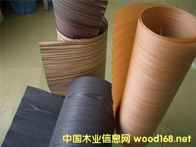 ȫƼľЈL^2022ꌢ_(d)413|Ԫ