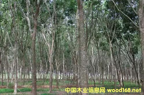 zľȱ؛r(ji)Ӹ߲ֻُ̿Ժ哌ڃr(ji)ܺ