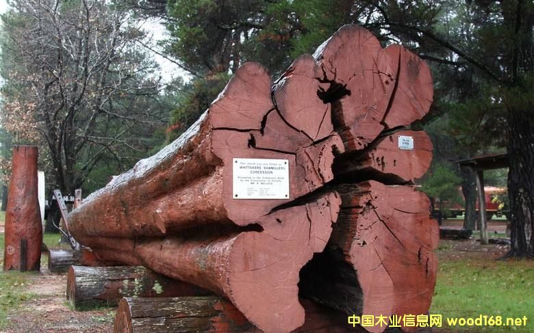 ľİٿƣZľ񣩣׷Q(chng)Ѫ̴