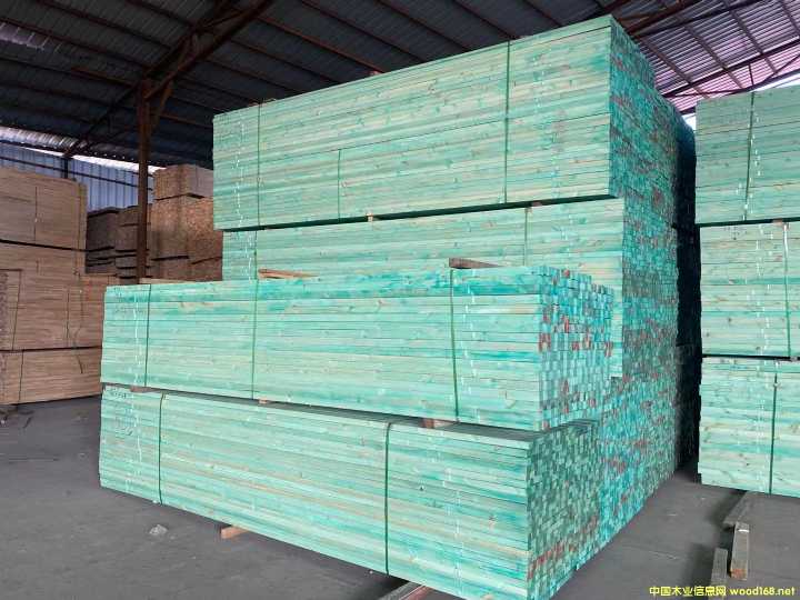 松木龍骨的詳細(xì)介紹