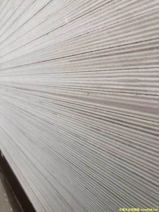 的詳細(xì)介紹