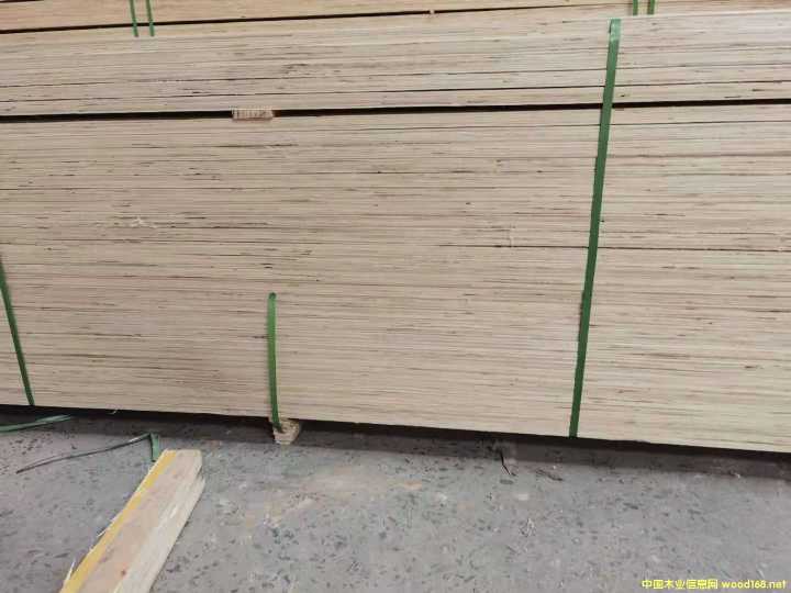 [] SֱNѬLVLľ LVLӷeľľl