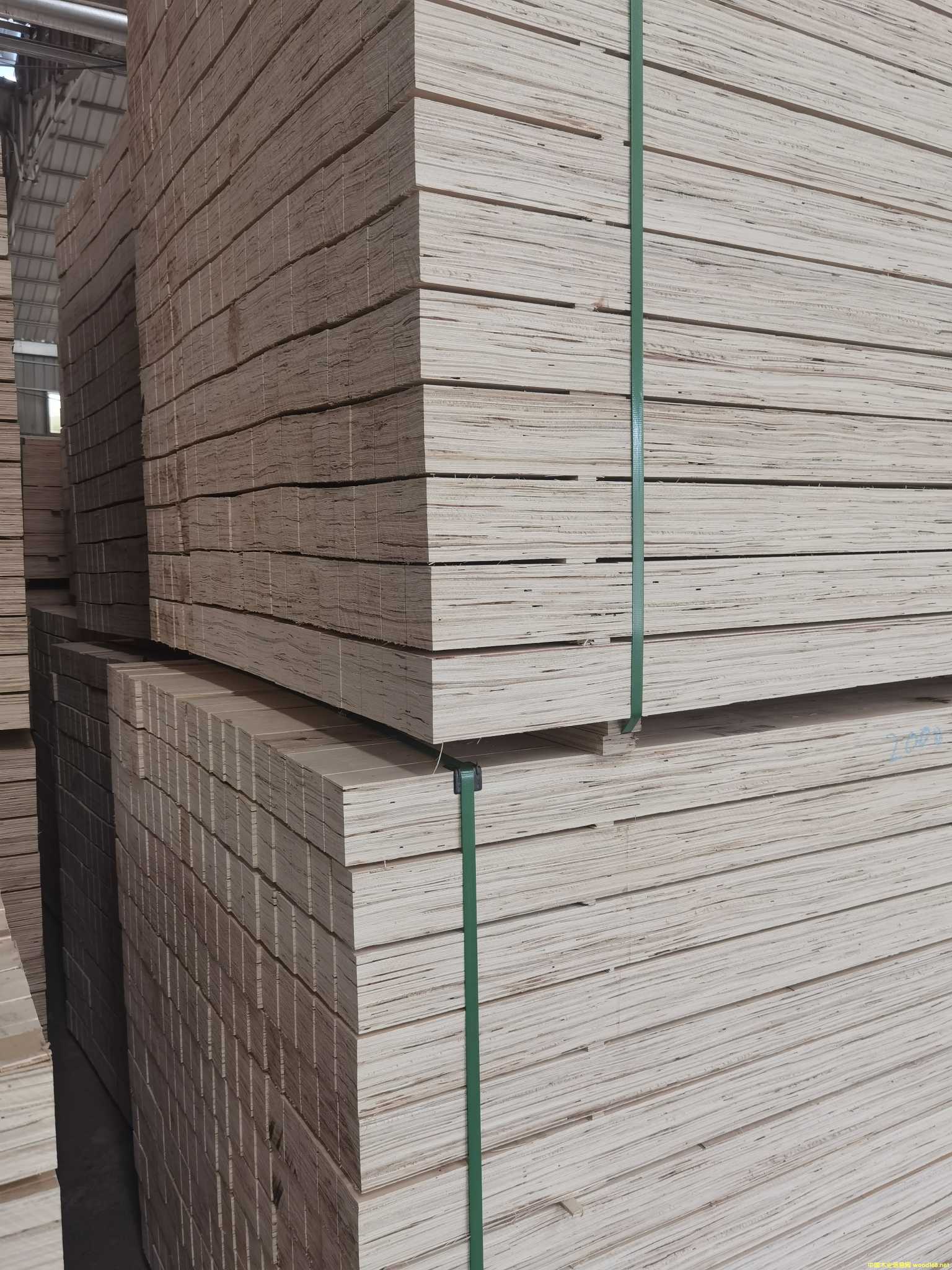 [] bѬľLVLӷe ѬLVLľ