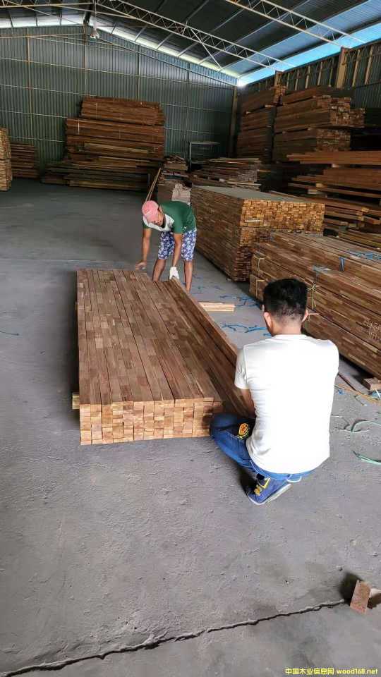 [] (yng)M(jn)˼ľָӰ