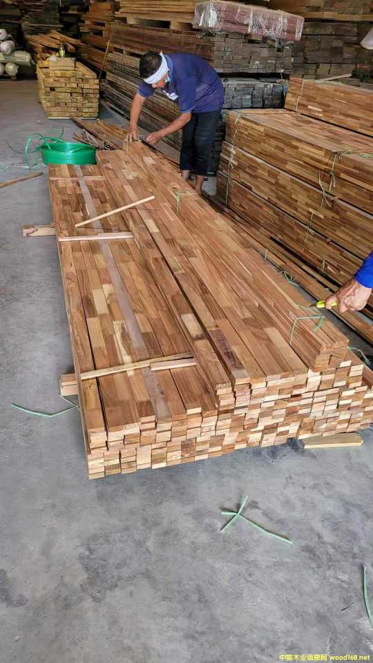 [] (yng)M(jn)˼ľָӗl