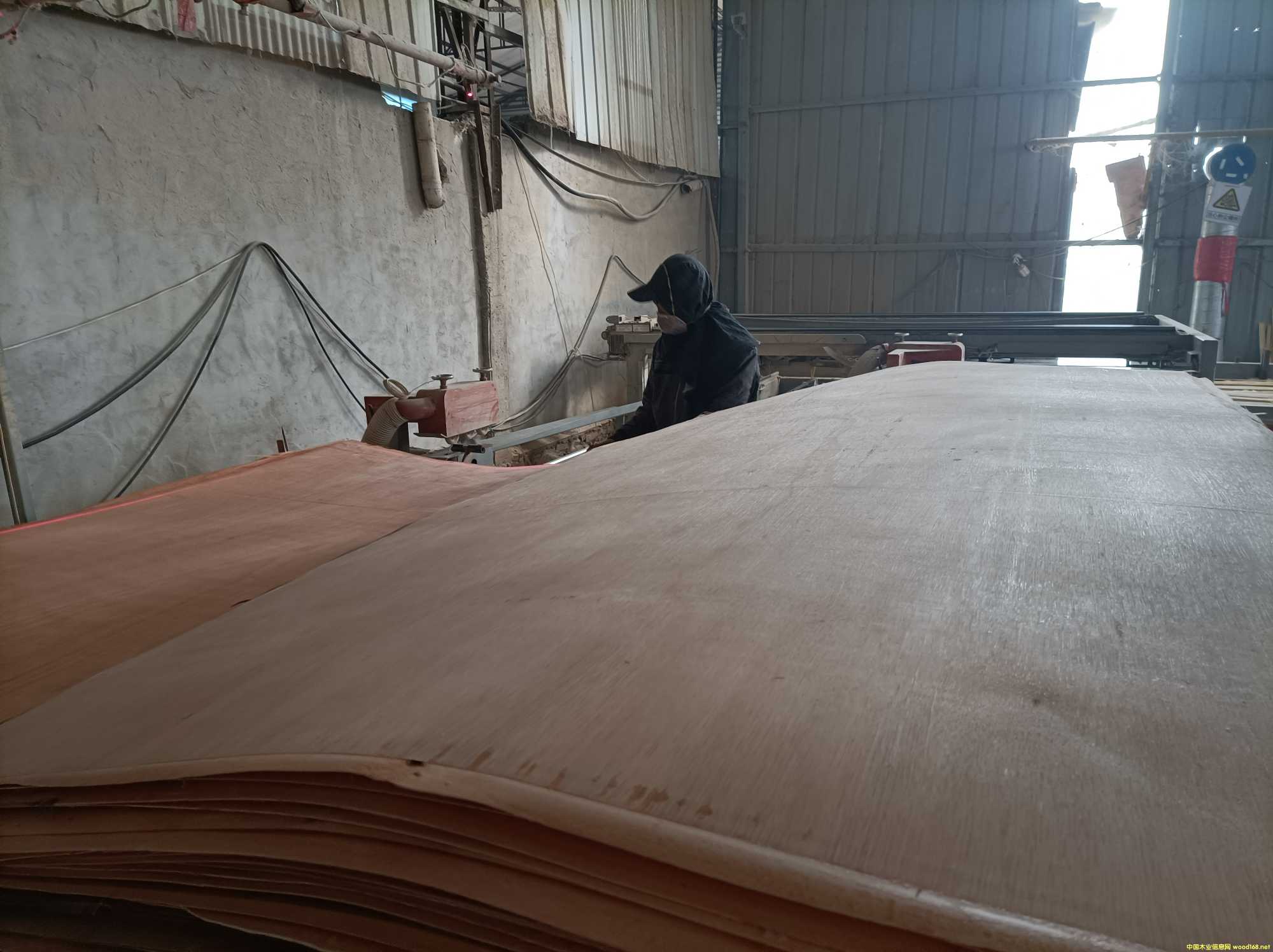 的詳細(xì)介紹