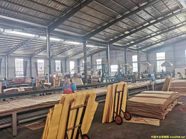 的詳細(xì)介紹