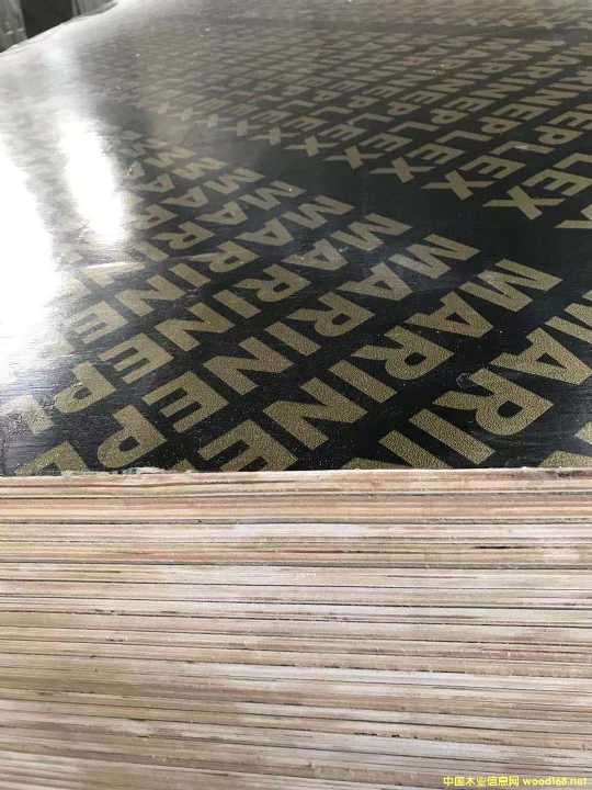 的詳細(xì)介紹