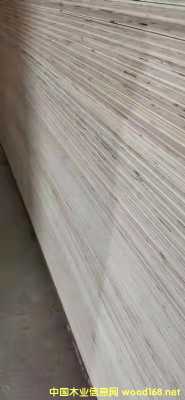 的詳細(xì)介紹