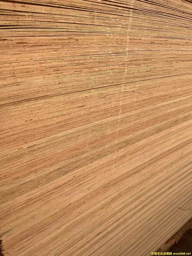 的詳細(xì)介紹