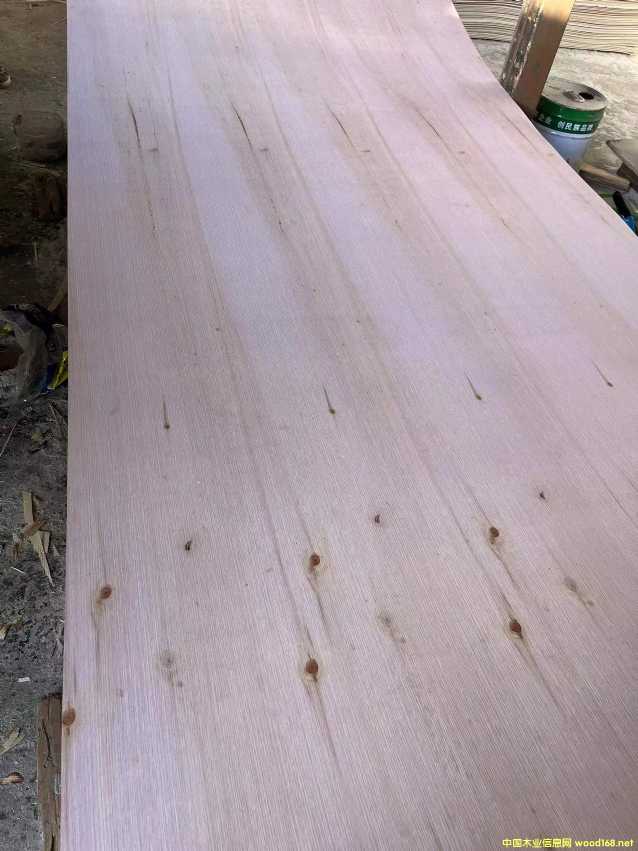 的詳細(xì)介紹