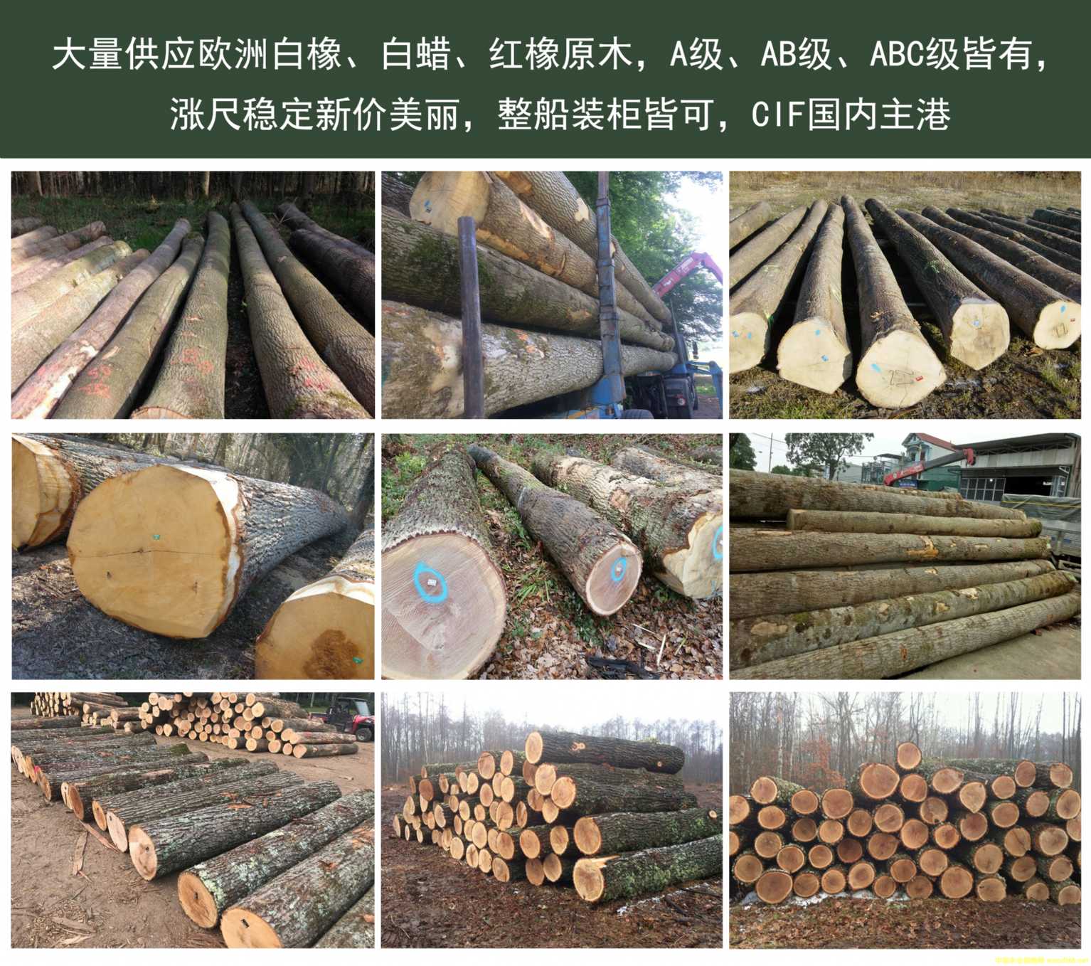 [] (yng)(gu)Ϟtԭľ