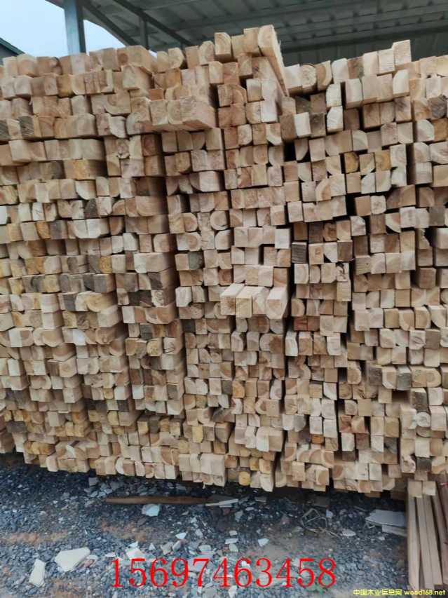 杉木方的詳細介紹