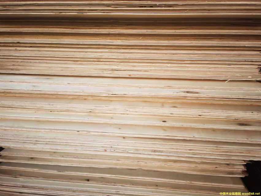 [] 12 15 18  ȫζӼҾ߰