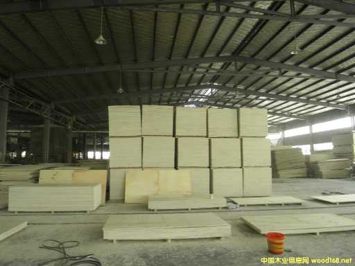 CARBP2E1E2 ľʮ ɳl(f) ɶ